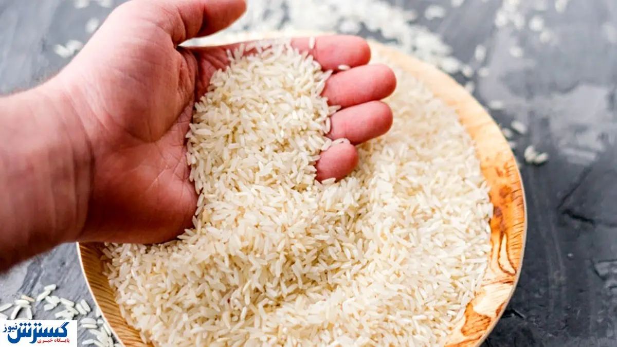 شاخ غول برنج شکست !