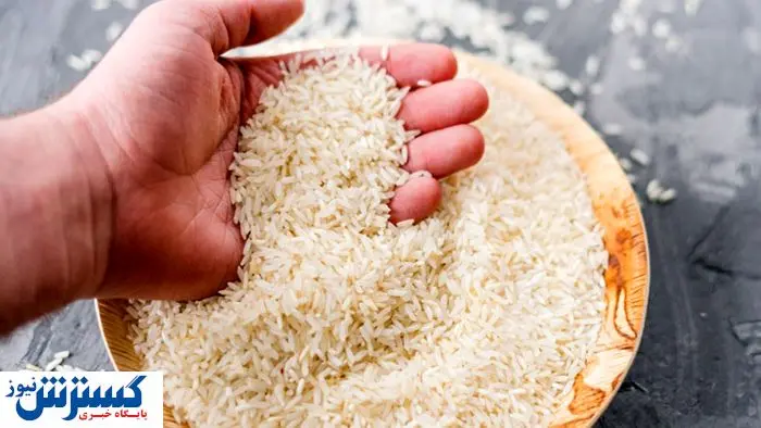 شاخ غول برنج شکست!