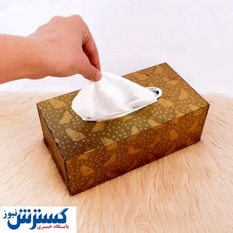 چرا تیشو گران می‌شود، دستمال نه؟!