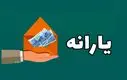 دولت و مجلس دست‌ به‌ دست هم دادند | وداع با یارانه قطعی شد