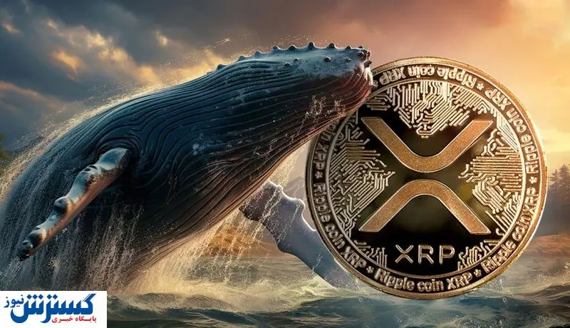حمله نهنگ ها به ریپل / منتظر افزایش  قیمت باشیم؟