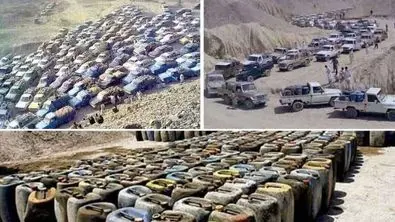 دولت پزشکیان گل کاشت