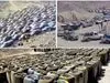 ثروت هنگفتی به کشور برگشت داده شد