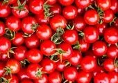 گوجه فرنگی های ایران در پاکستان غارت شدند! 
