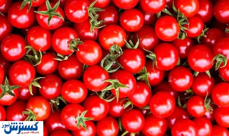 گوجه فرنگی ۲۲ هزار تومان شد + جدول
