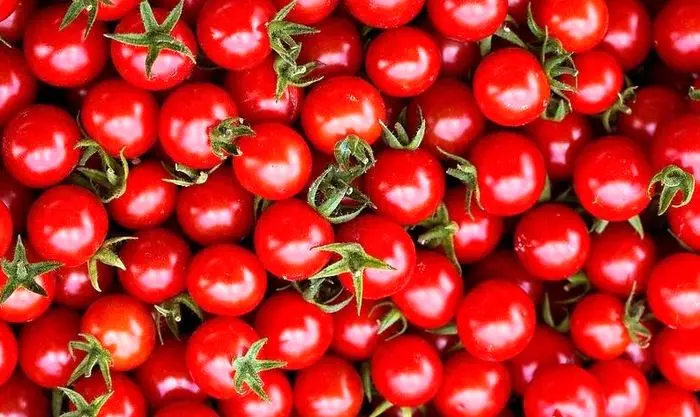 قیمت جدید گوجه فرنگی در بازار