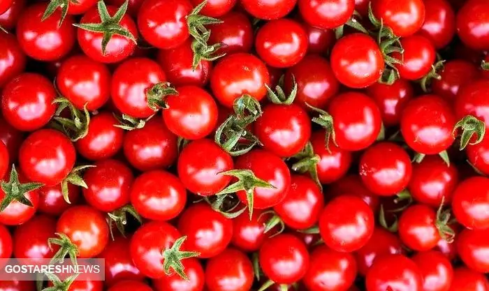  گوجه فرنگی جیرفت بازار را نجات داد 