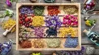 سهم ایران از تجارت جهانی گیاهان دارویی چقدر است؟