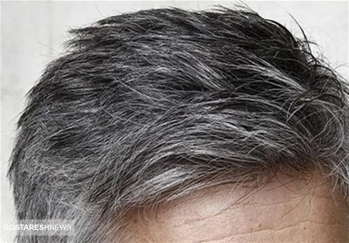 از سفیدی موهایتان جلوگیری کنید