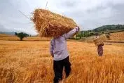 دولت برای پرداخت مطالبات این افراد دست به کار شد