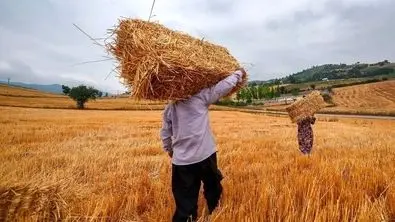 دولت برای پرداخت مطالبات این افراد دست به کار شد