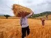دولت به وعده‌اش عمل کرد | دستور واریز صادر شد