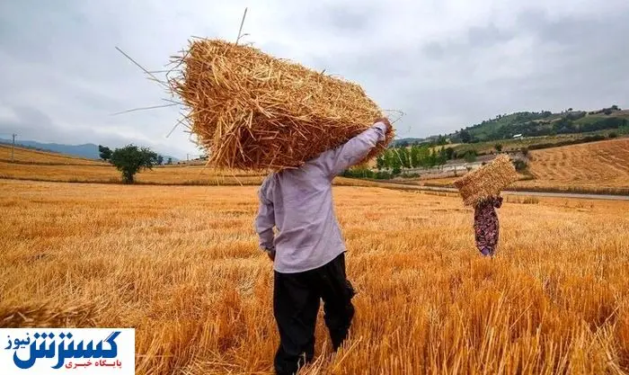 دولت برای پرداخت مطالبات این افراد دست به کار شد