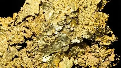 ۵ نشانه قطعی وحود طلا در زیر خاک و سنگ | معدن طلا با این روش کشف می شود