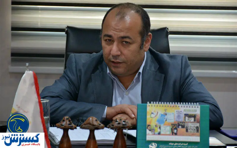 افزایش نگران کننده قیمت قارچ در بازار
