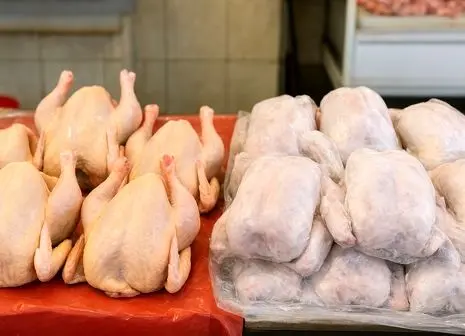 جنجال بر سر مصرف تریاک برای مرغ ها | بیانیه مرغداران صاد شد