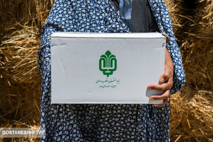  محرومان جامعه از دولت حقوق ماهانه دریافت می‌کنند 