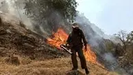 آتش بر دامان جنگل‌ها؛ دیروز گچساران و امروز کهگیلویه/فیلم