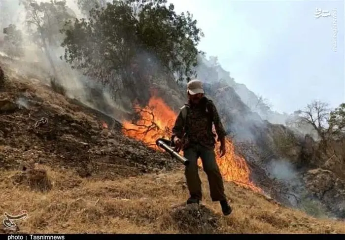 آخرین وضعیت آتش‌سوزی در جنگل‌های گچساران + تصاویر