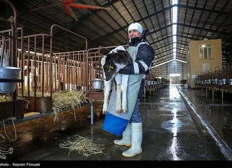 ۲۰ کاربرد بی نظیر شامپو بچه که نمی دانید