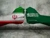 عربستان به ایران جایزه داد