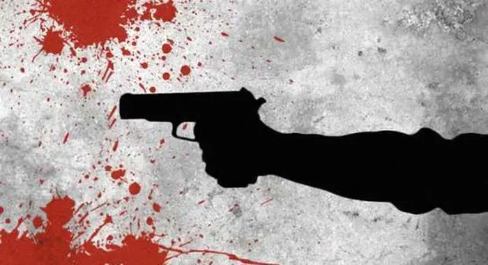 قتل خونین نامادری با اسلحه شاه کش + اعترافات عجیب قاتل