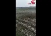 حمله تلافی جویانه آذربایجان به مناطق شهری ارمنستان + فیلم