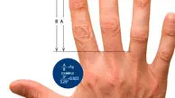 طول انگشتان شما چه چیز را نشان میدهد؟