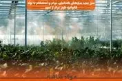 نسل جدید سازه‌های گلخانه‌ای: دوام و استحکام با لوله گالوانیزه گرم، فراتر از تصور