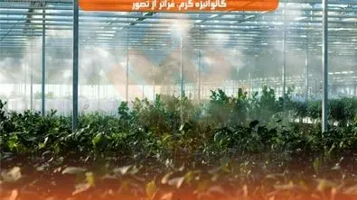 نسل جدید سازه‌های گلخانه‌ای: دوام و استحکام با لوله گالوانیزه گرم، فراتر از تصور