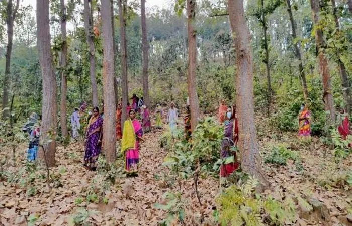 با الف‌های هندوستان آشنا شوید / این زنان نگهبان جنگل هستند