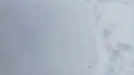 فیلمی از بارش سنگین برف در این استان