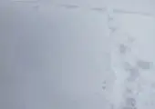 بارش سنگین برف در قم + فیلم