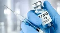 خبر جدید درباره واکسن تولید مشترک ایران و کوبا 