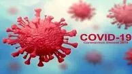 روشی جدید برای جلوگیری از تکثیر ویروس کرونا