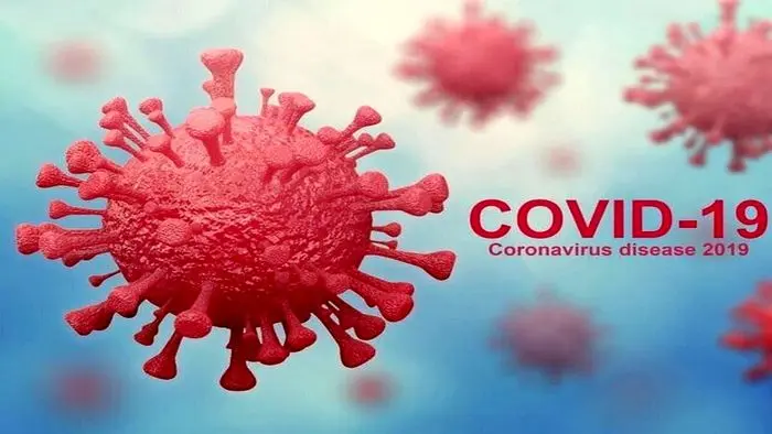 روشی جدید برای جلوگیری از تکثیر ویروس کرونا