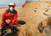علت تلف شدن ماهیان در ساحل خارک چه بود؟