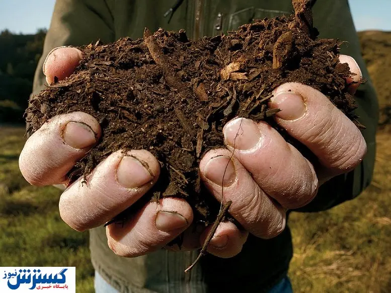 بازار کربن آینده درخشانی دارد