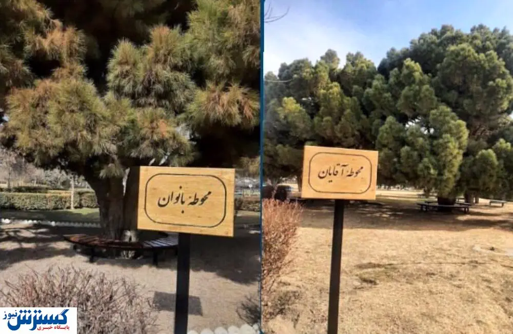 تفکیک جنسیتی کلاسهای این دانشگاه