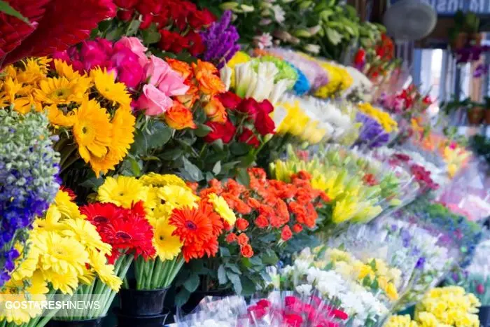 قیمت جدید هر شاخه گل از زبان رئیس اتحادیه / خرید دسته گل چقدر آب می خورد؟