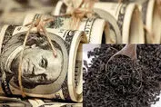 پشت پرده پرونده جنجالی چای دبش لو رفت | دو وزیر هنوز بیرون از زندان 