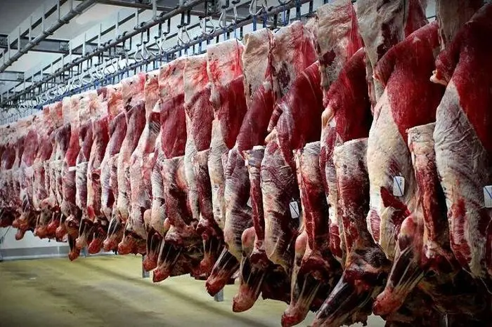 واردات حجم عظیمی گوشت قرمز به داخل کشور