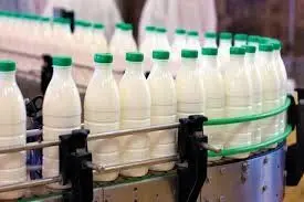 اعتراض دامداران به قیمت شیرخام