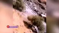 کار گروهی برای نجات یک سرنشین از خودروی در حال سقوط + فیلم