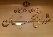 نظر سخنگوی قوه قضائیه درباره فعالیت جمعیت امام علی