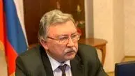توضیحات اولیانوف درباره روند مذاکرات
