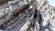 بزرگترین ثروت ایران دفن شد