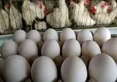 ممنوعیت عرضه تخم‌‌مرغ به صورت فله‌ای