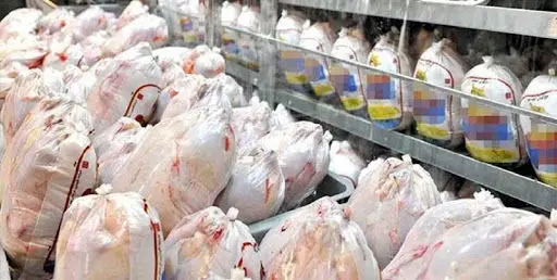 قیمت مرغ در بازار امروز کیلویی چند؟ (۹۹/۰۶/۲۲) + جدول
