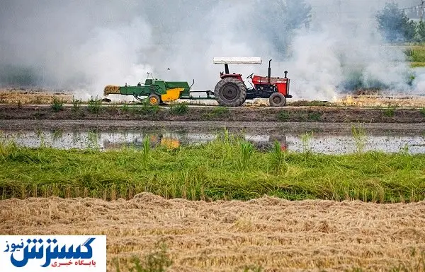 خودکفایی با توان دانشبنیانها / پسماند میوه و سبزیجات، خوراکی برای دام